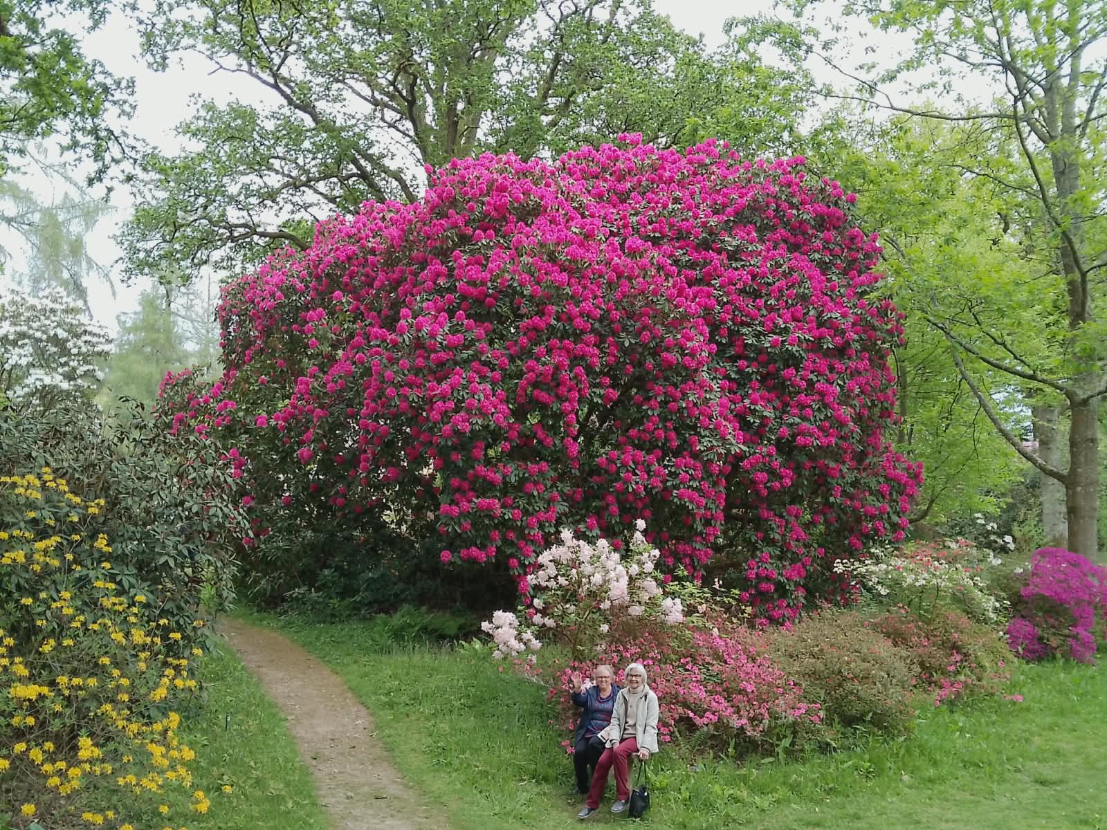 Description of image