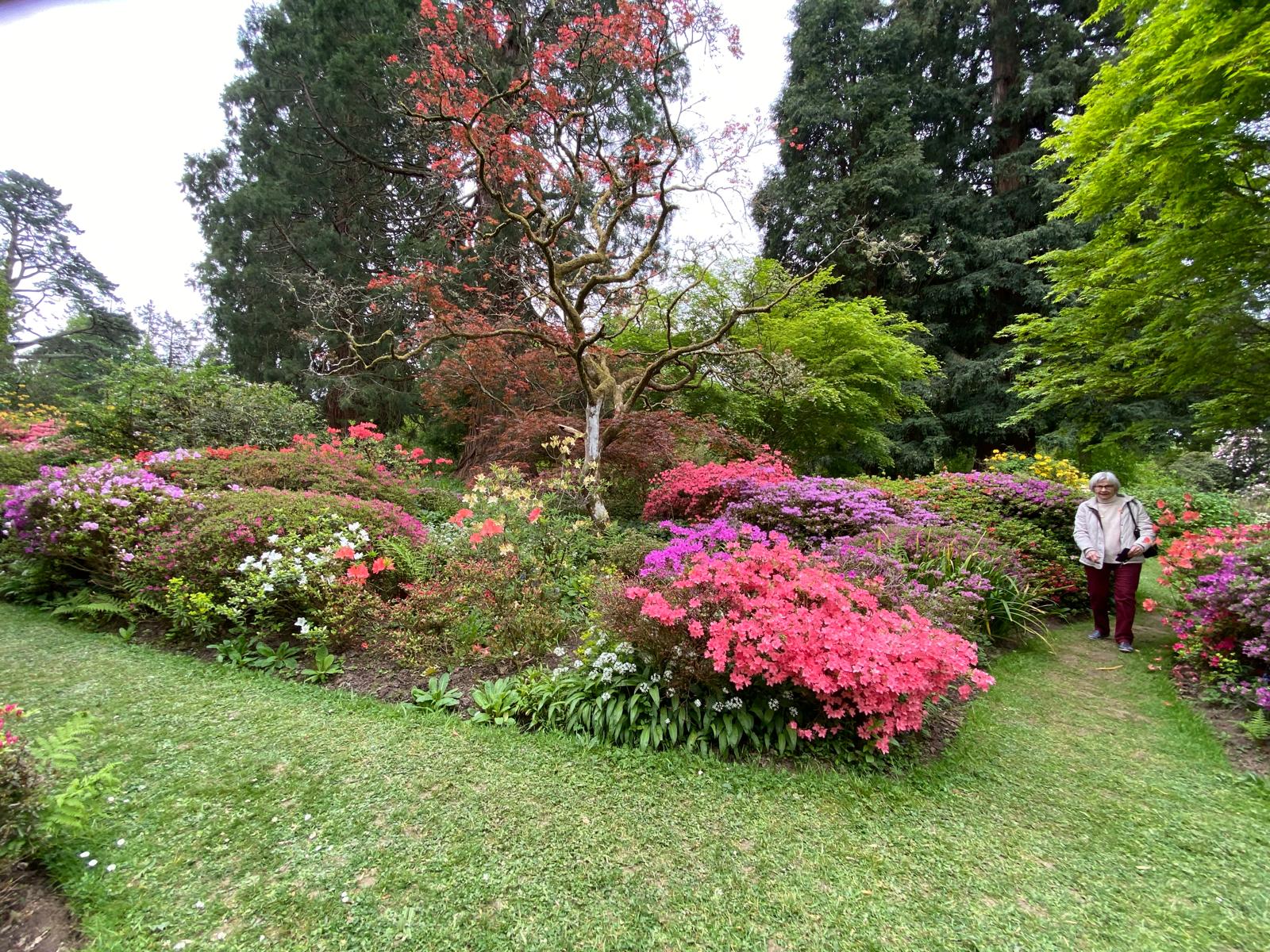Description of image